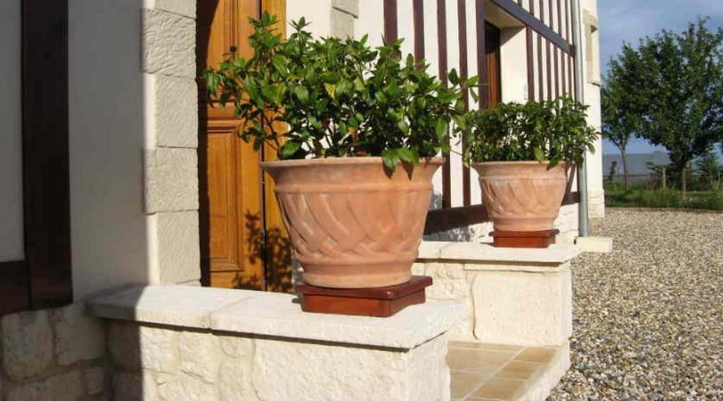 Le Mont D'Auge Bed and Breakfast Canapville  Εξωτερικό φωτογραφία