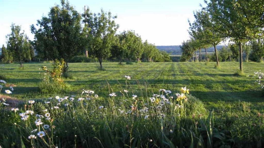 Le Mont D'Auge Bed and Breakfast Canapville  Εξωτερικό φωτογραφία