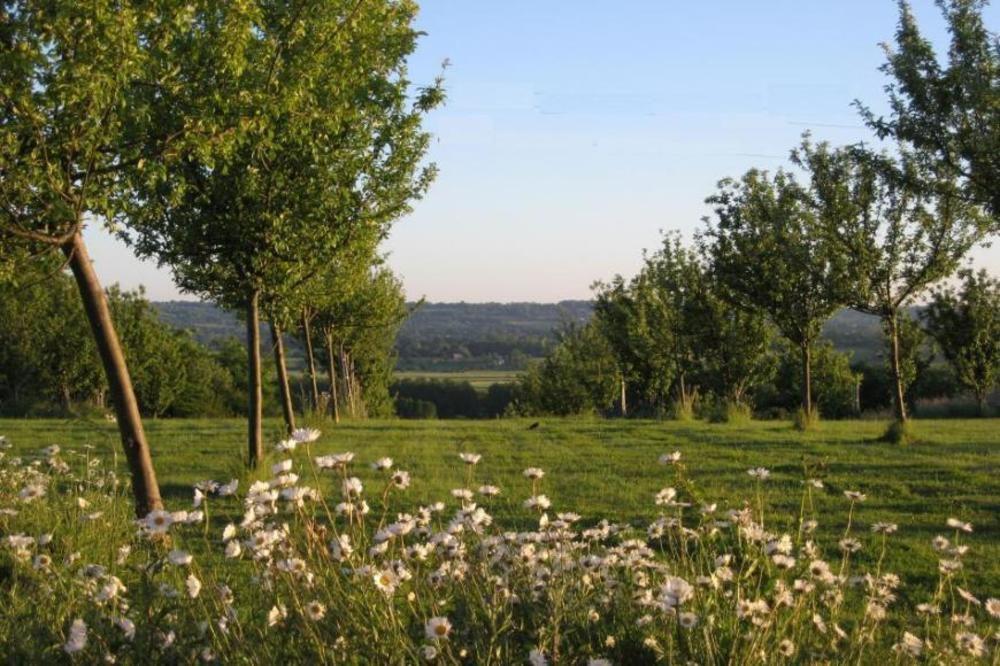 Le Mont D'Auge Bed and Breakfast Canapville  Εξωτερικό φωτογραφία